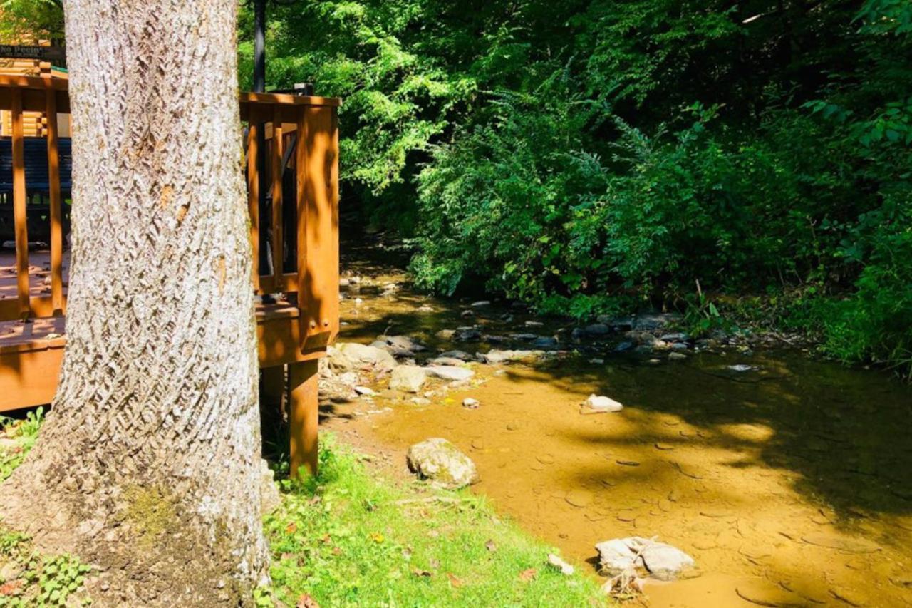 Hébergement de vacances Creekside Dreams Pigeon Forge